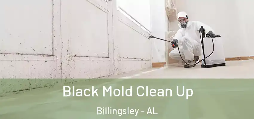  Black Mold Clean Up Billingsley - AL