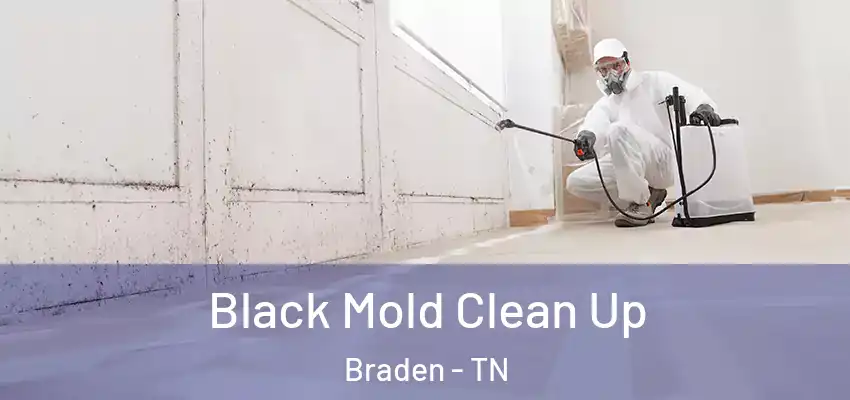  Black Mold Clean Up Braden - TN