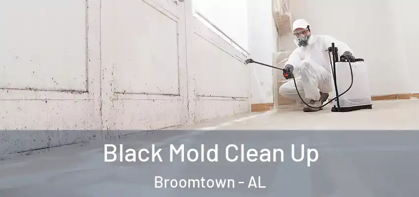 Black Mold Clean Up Broomtown - AL