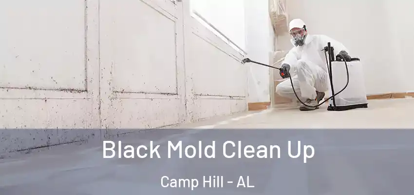  Black Mold Clean Up Camp Hill - AL