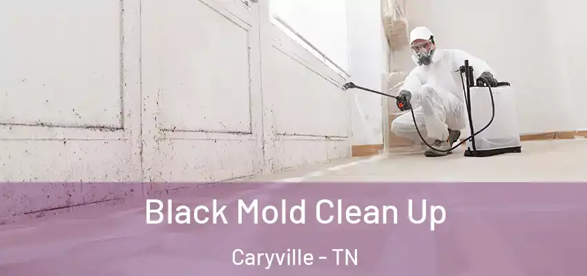 Black Mold Clean Up Caryville - TN