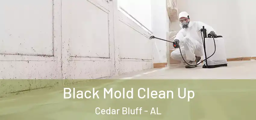  Black Mold Clean Up Cedar Bluff - AL