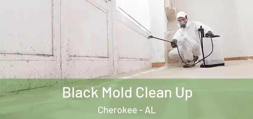 Black Mold Clean Up Cherokee - AL