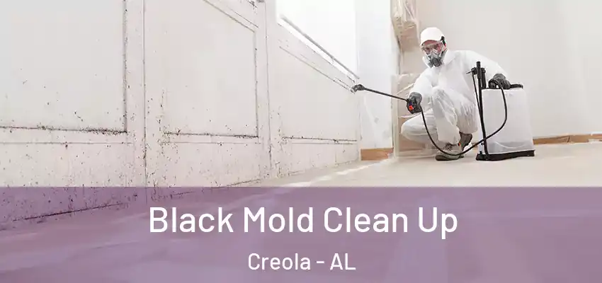 Black Mold Clean Up Creola - AL