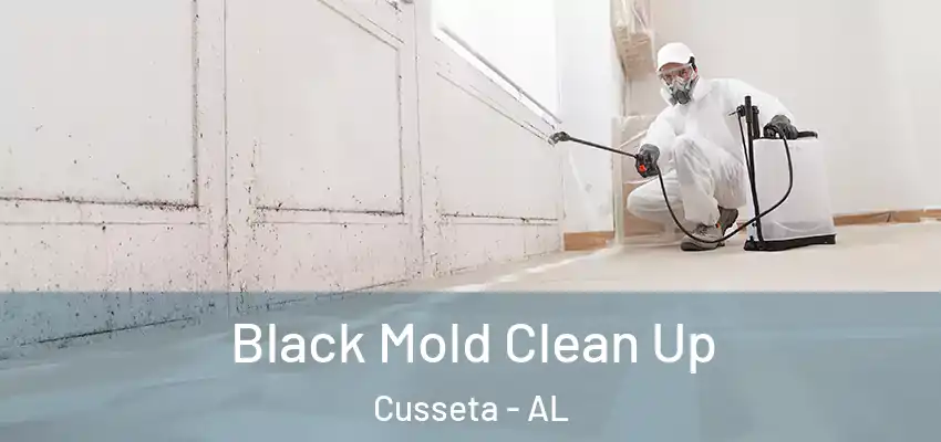 Black Mold Clean Up Cusseta - AL