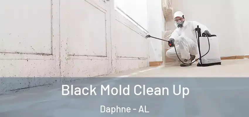  Black Mold Clean Up Daphne - AL