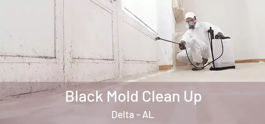 Black Mold Clean Up Delta - AL