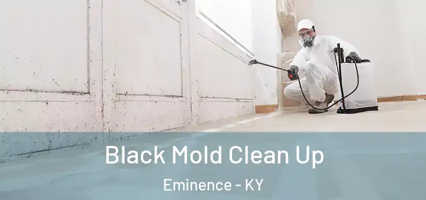  Black Mold Clean Up Eminence - KY