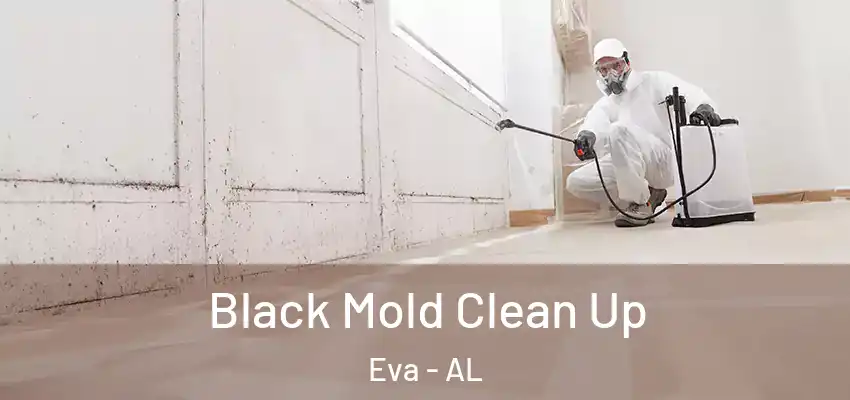  Black Mold Clean Up Eva - AL