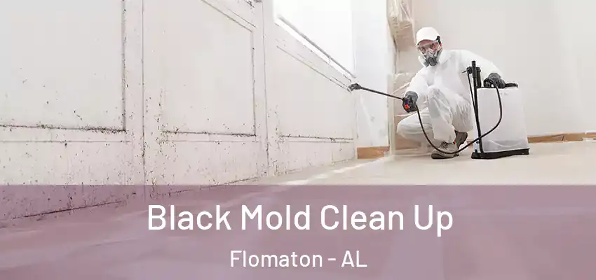 Black Mold Clean Up Flomaton - AL