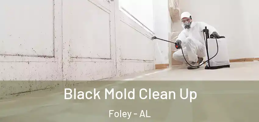  Black Mold Clean Up Foley - AL