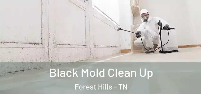 Black Mold Clean Up Forest Hills - TN