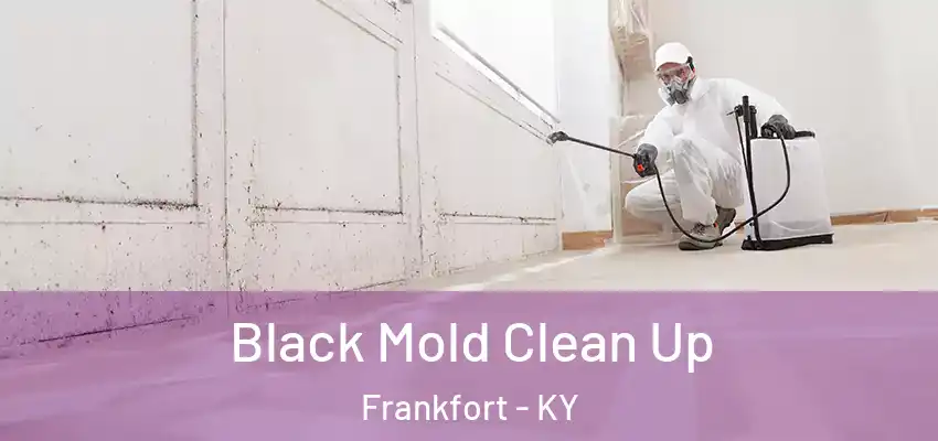  Black Mold Clean Up Frankfort - KY