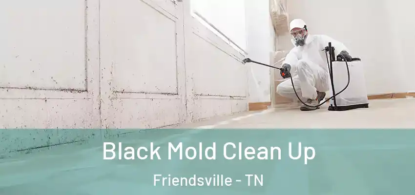 Black Mold Clean Up Friendsville - TN