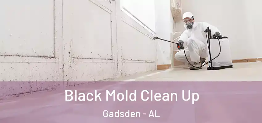  Black Mold Clean Up Gadsden - AL