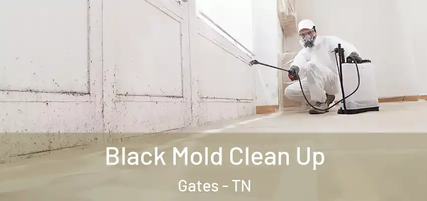  Black Mold Clean Up Gates - TN