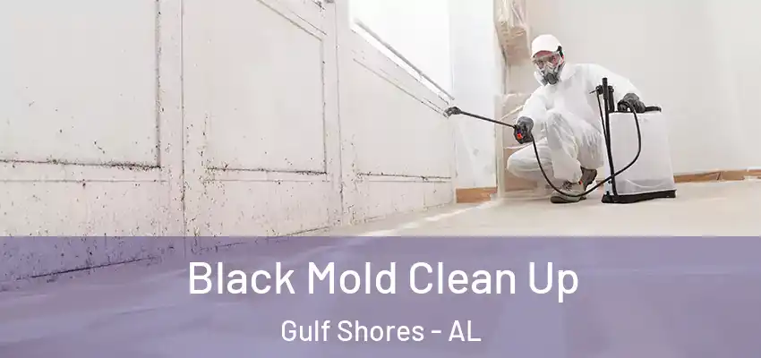  Black Mold Clean Up Gulf Shores - AL