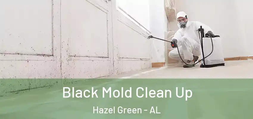  Black Mold Clean Up Hazel Green - AL