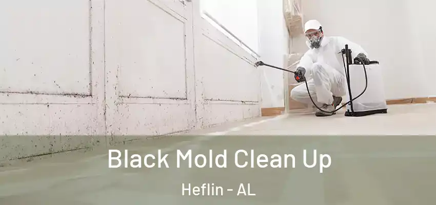  Black Mold Clean Up Heflin - AL