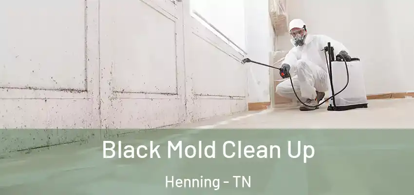  Black Mold Clean Up Henning - TN