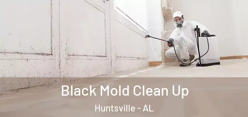  Black Mold Clean Up Huntsville - AL