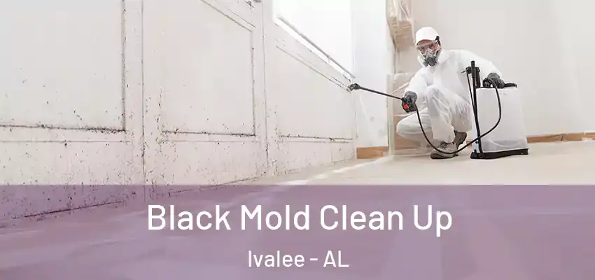  Black Mold Clean Up Ivalee - AL