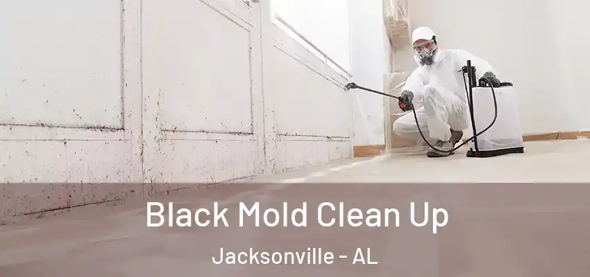 Black Mold Clean Up Jacksonville - AL