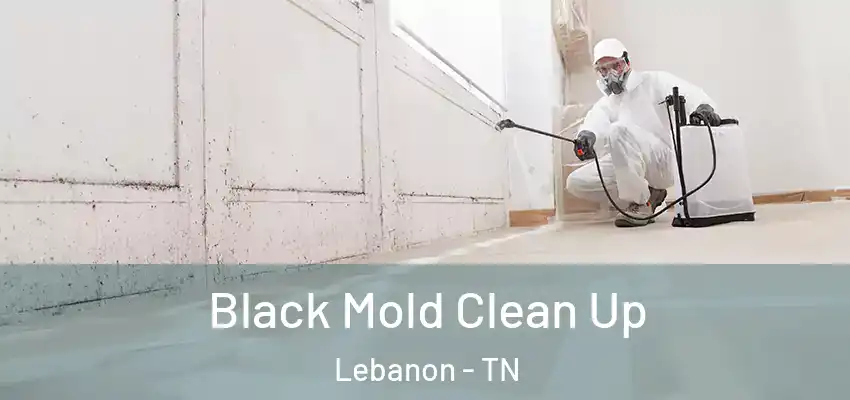  Black Mold Clean Up Lebanon - TN