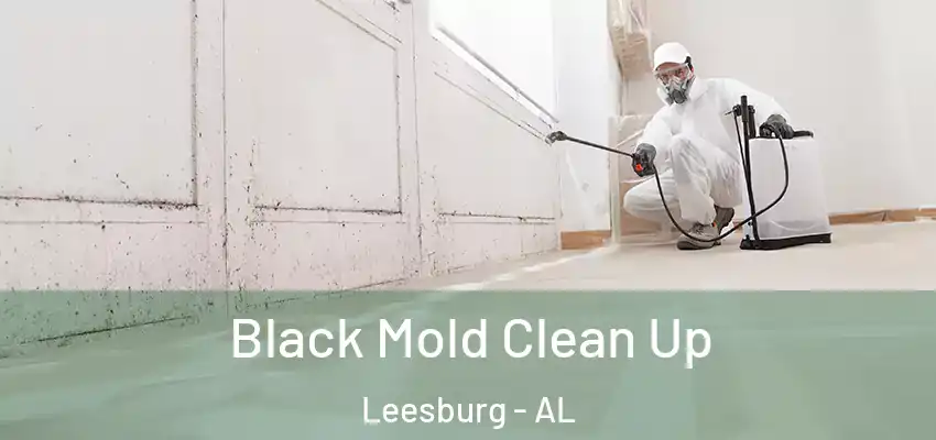  Black Mold Clean Up Leesburg - AL