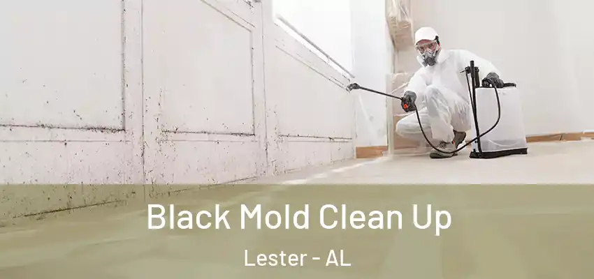  Black Mold Clean Up Lester - AL