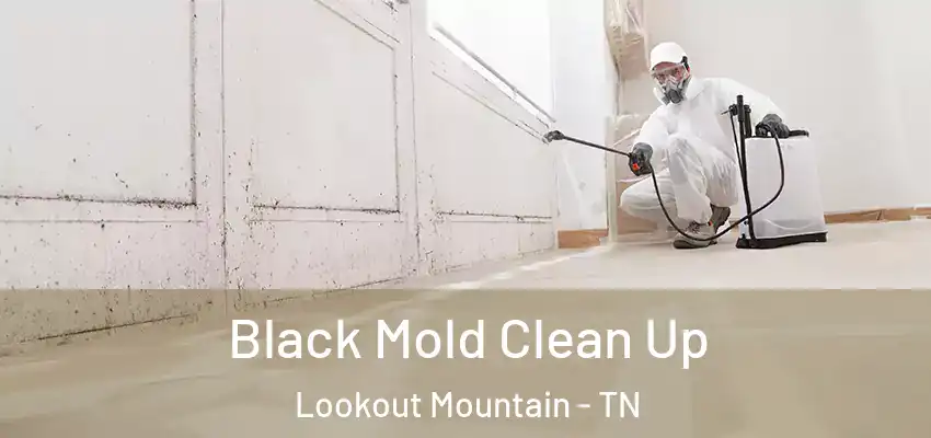  Black Mold Clean Up Lookout Mountain - TN