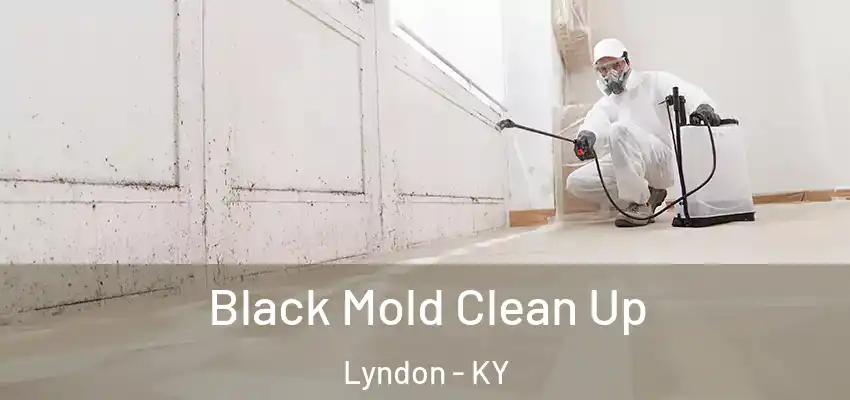  Black Mold Clean Up Lyndon - KY
