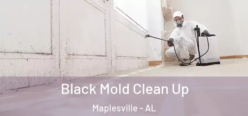 Black Mold Clean Up Maplesville - AL