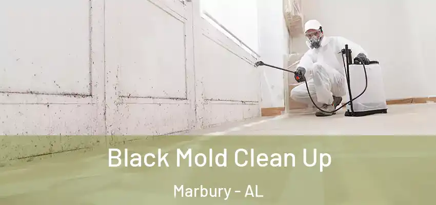 Black Mold Clean Up Marbury - AL