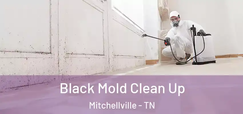 Black Mold Clean Up Mitchellville - TN
