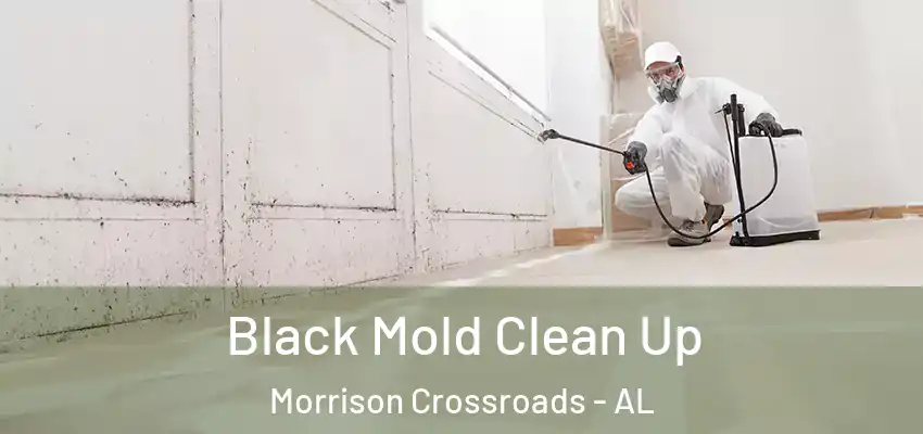  Black Mold Clean Up Morrison Crossroads - AL