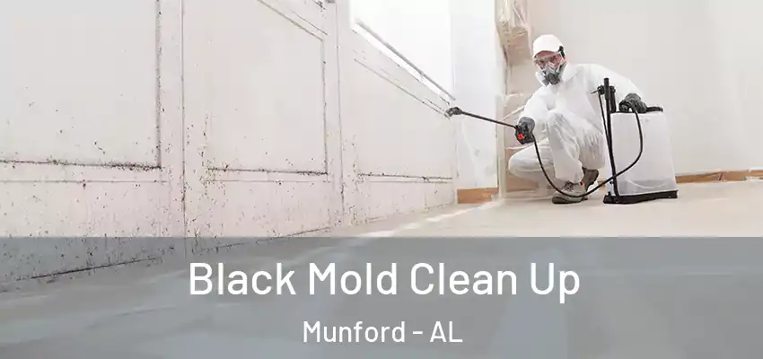 Black Mold Clean Up Munford - AL