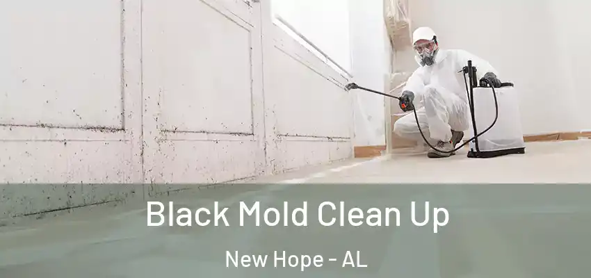 Black Mold Clean Up New Hope - AL