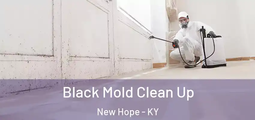 Black Mold Clean Up New Hope - KY