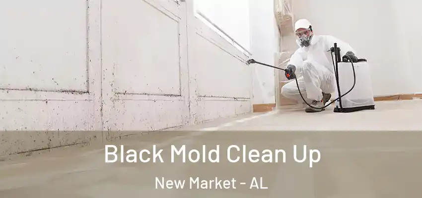 Black Mold Clean Up New Market - AL
