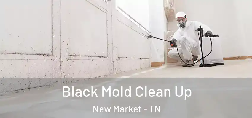 Black Mold Clean Up New Market - TN