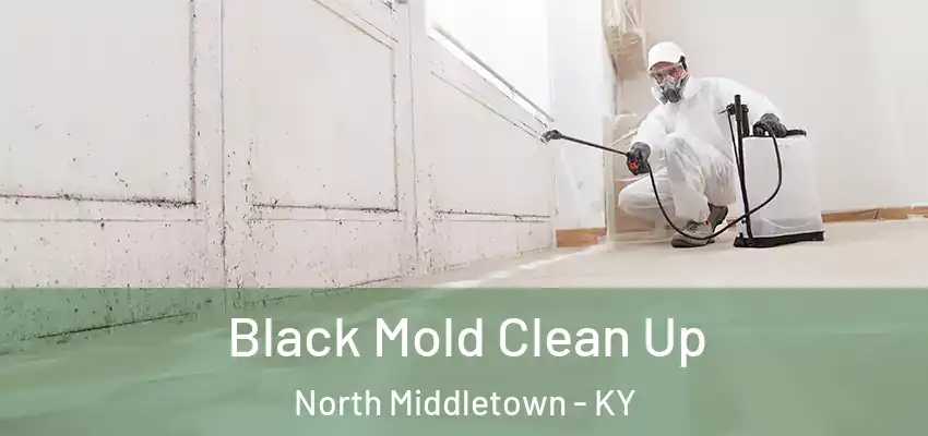 Black Mold Clean Up North Middletown - KY