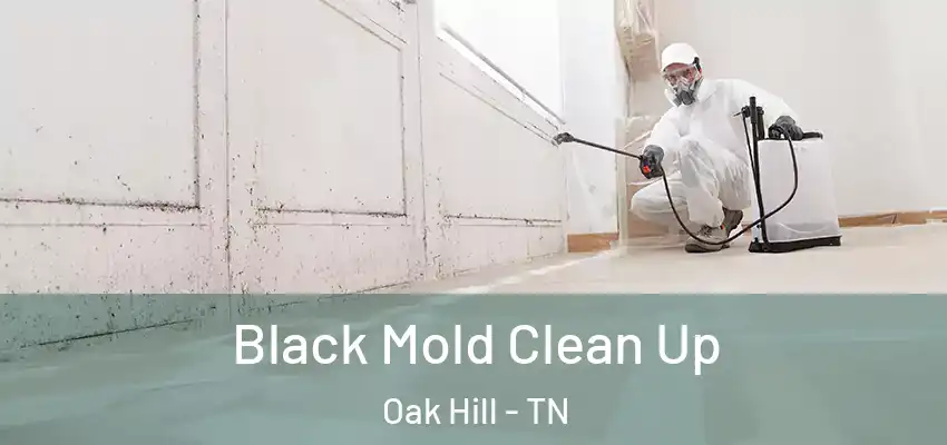 Black Mold Clean Up Oak Hill - TN