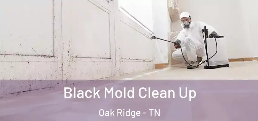  Black Mold Clean Up Oak Ridge - TN
