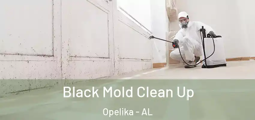 Black Mold Clean Up Opelika - AL