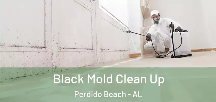  Black Mold Clean Up Perdido Beach - AL