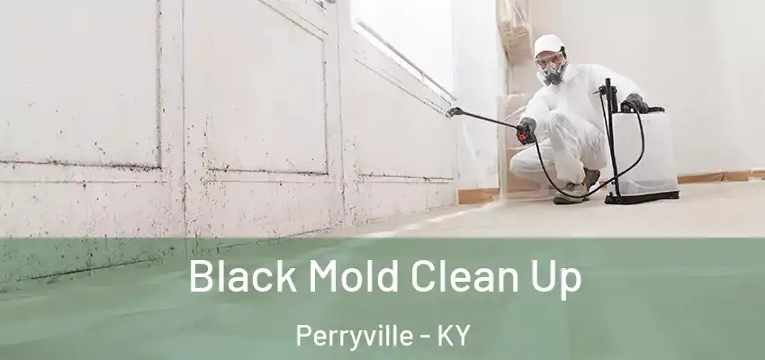 Black Mold Clean Up Perryville - KY