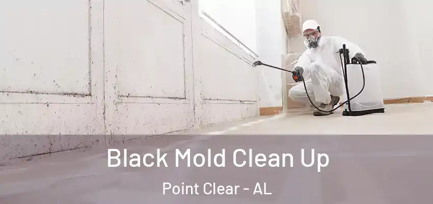 Black Mold Clean Up Point Clear - AL