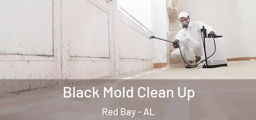  Black Mold Clean Up Red Bay - AL