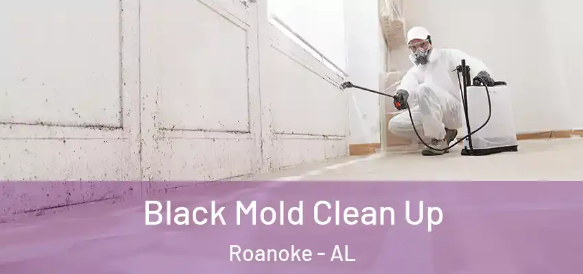  Black Mold Clean Up Roanoke - AL